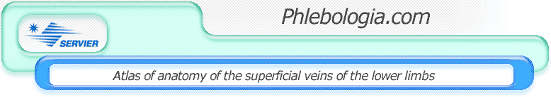 Phlebologia